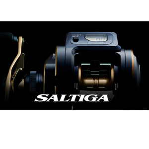 Катушка Daiwa 21 Saltiga IC 300