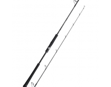 Спиннинг Shimano 20 Game Type J S510-5