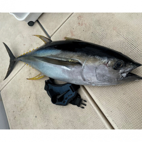 Без имени-16.jpg