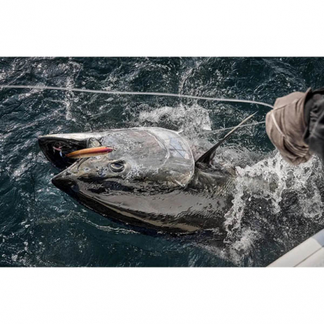 Без имени-8.jpg