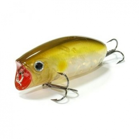 good_id7116 (15).jpg